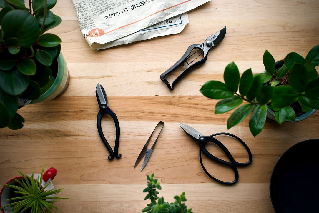 Scissors
