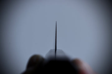 Hatsukokoro Hikari SLD Gyuto 195mm