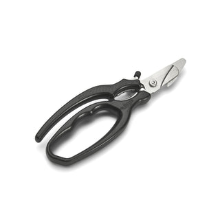 Seafood Shears - Thecooksedges