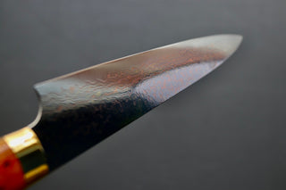 Takeshi Saji VG10 Rainbow Damascus Sujihiki 240mm - Thecooksedges