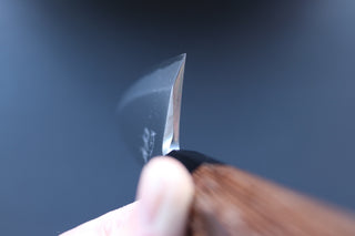 Hatsukokoro Shirasagi Deba 180mm - Thecooksedges