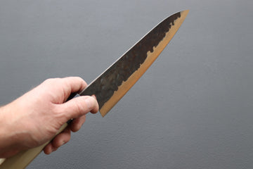 Fujiwara Denka no Hoto Gyuto 210mm - Thecooksedges