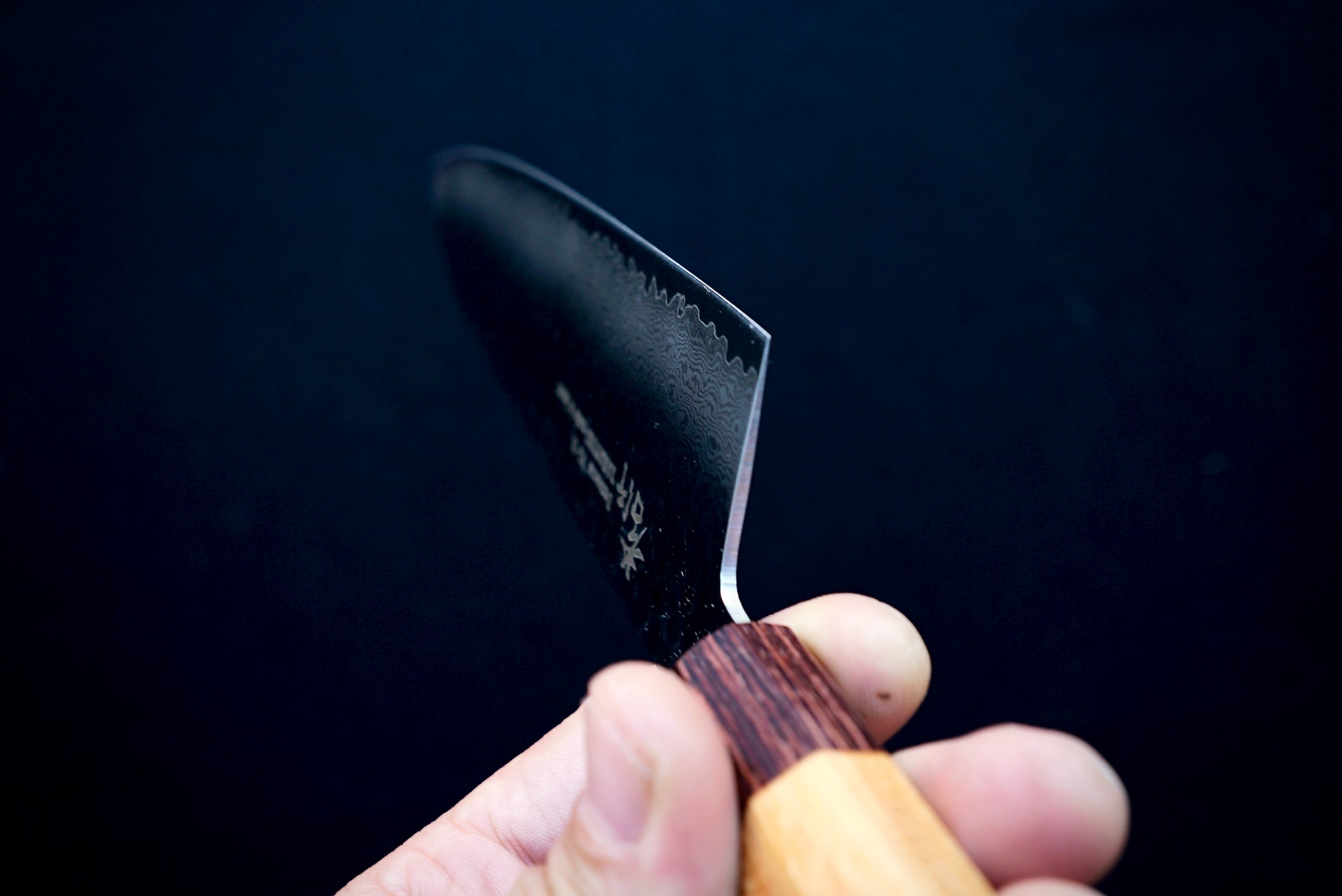 Sakai Takayuki 33 Layer Damascus Wa Gyuto 240mm - Thecooksedges