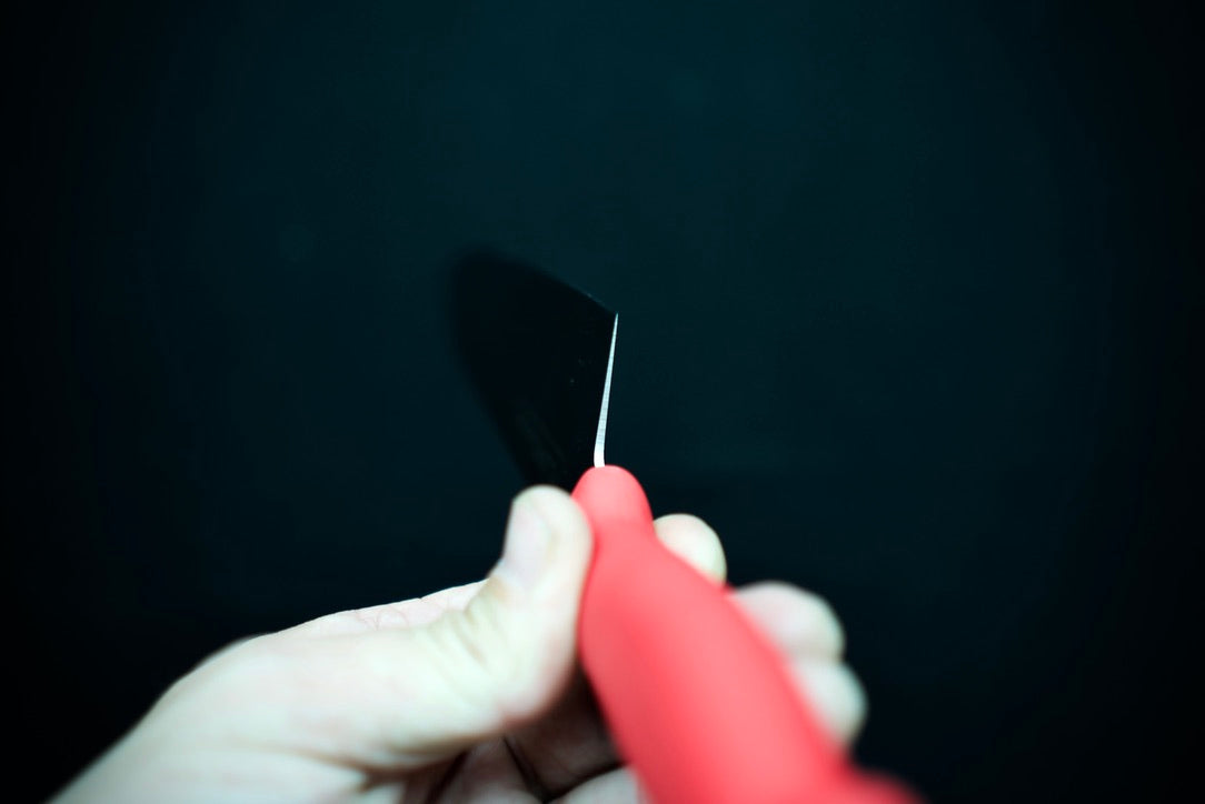 Tojiro Colour Series Gyuto 240mm - Thecooksedges