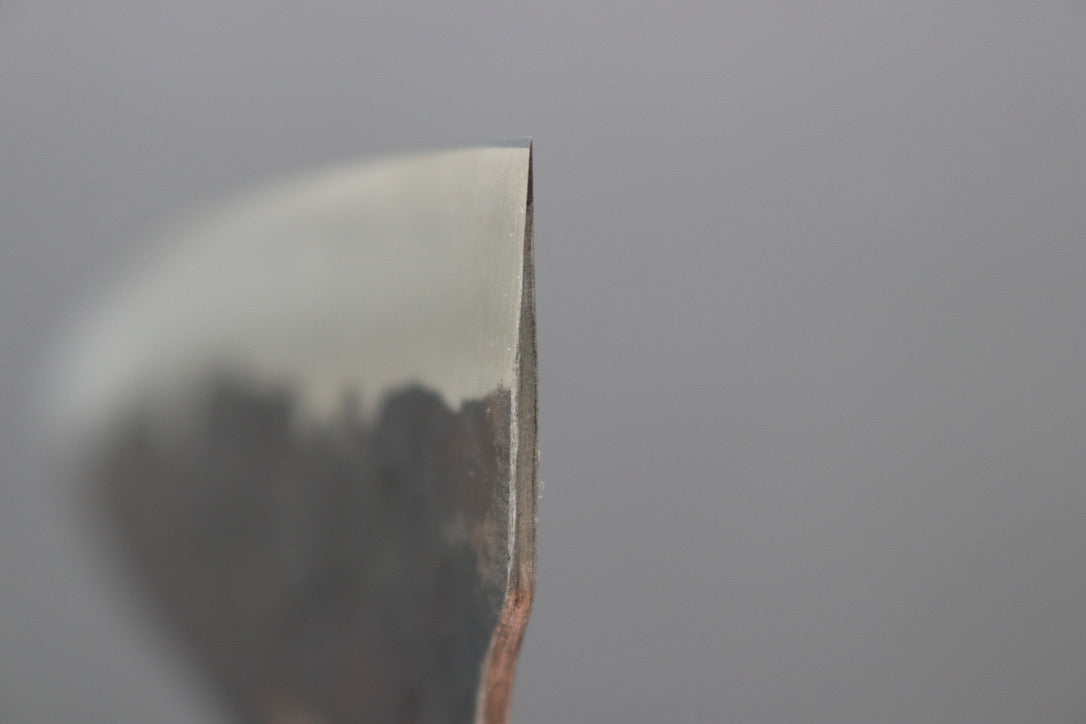 Fujiwara Denka no Hoto Gyuto 210mm - Thecooksedges
