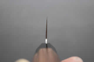 Sakai Takayuki Ginga Gyuto 240mm - Thecooksedges