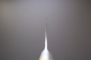 Takeshi Saji R2 Quince Handle Gyuto 240mm - Thecooksedges