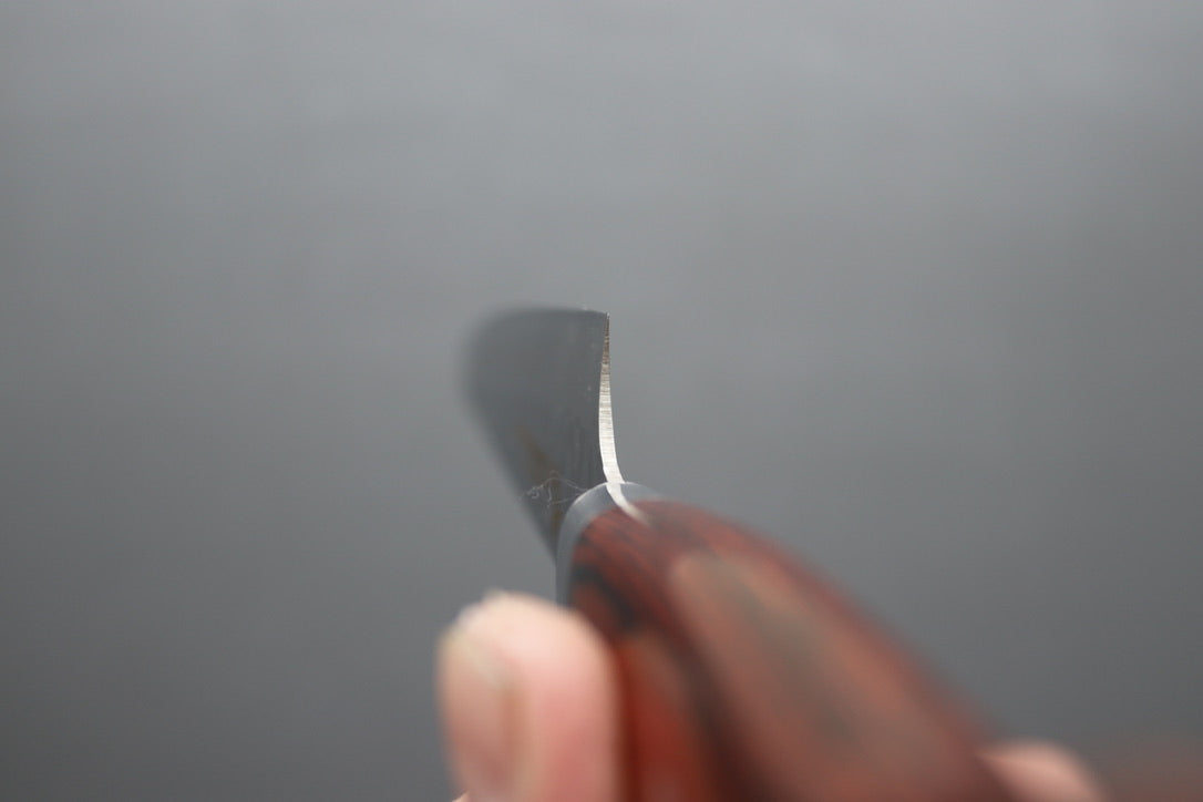 Sakai Takayuki 33 Layer Damascus Sujihiki 240mm - Thecooksedges