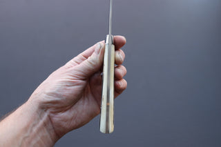 Takeshi Saji R2 Damascus Mirror Finished Gyuto 210mm - Thecooksedges