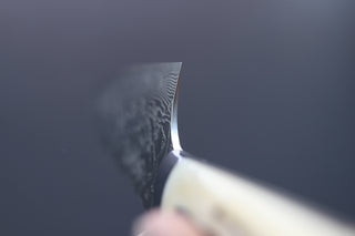 Takeshi Saji R2 Damascus Mirror Finished Gyuto 210mm - Thecooksedges