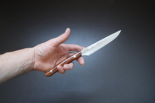 Takeshi Saji Damascus VG10 Steak Knife Ironwood Handle - Thecooksedges
