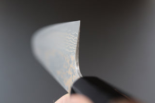 Takeshi Saji VG10 Damascus Gyuto 210mm - Thecooksedges