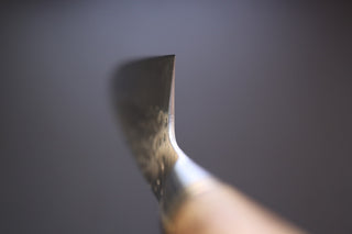 Takeshi Saji R2 Quince Handle Gyuto 210mm - Thecooksedges