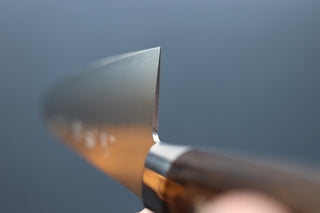 Sakai Kikumori SG2 Western Series Gyuto 210mm - Thecooksedges
