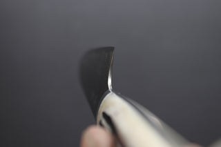 Takeshi Saji R2 Diamond Damascus Gyuto 240mm - Thecooksedges