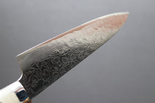 Takeshi Saji R2 Diamond Damascus Gyuto 240mm - Thecooksedges