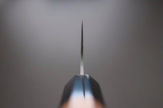 Nigara Hamono SG2 Damascus Kiritsuke 240mm - Thecooksedges