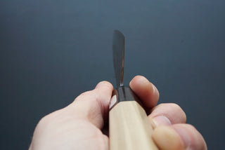 Fujiwara Mabaroshi Wa Gyuto 210mm - Thecooksedges