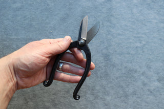 Japanese Bonsai Pruning Shears 165mm - Thecooksedges