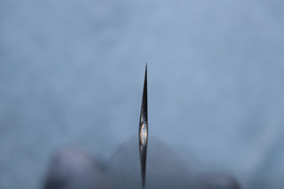 Kisuke Manaka Sujihiki Sakimaru 350mm - Thecooksedges