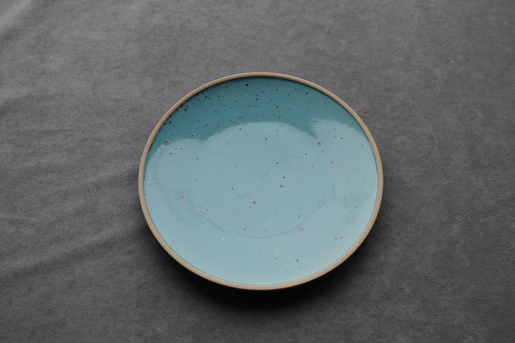 Robin Egg 10” Plate - Thecooksedges