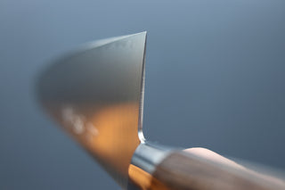 Sakai Kikumori SG2 Western Series Gyuto 240mm - Thecooksedges