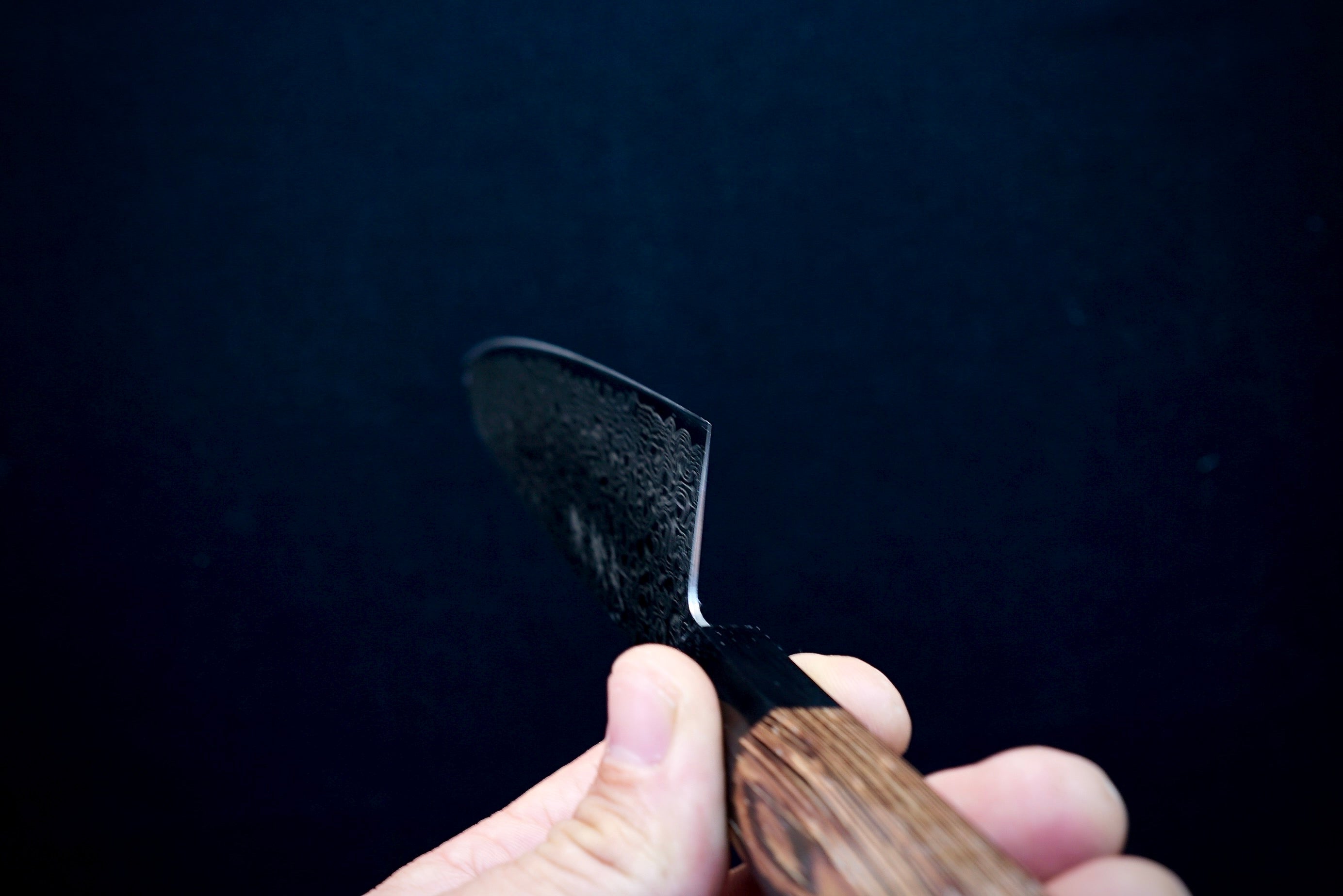 Sakai Takayuki Ginga Gyuto 210mm - Thecooksedges