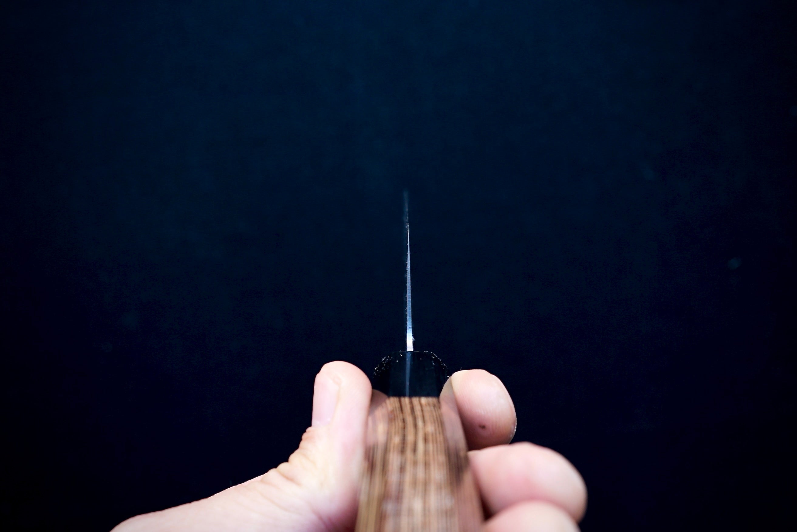 Sakai Takayuki Ginga Gyuto 210mm - Thecooksedges