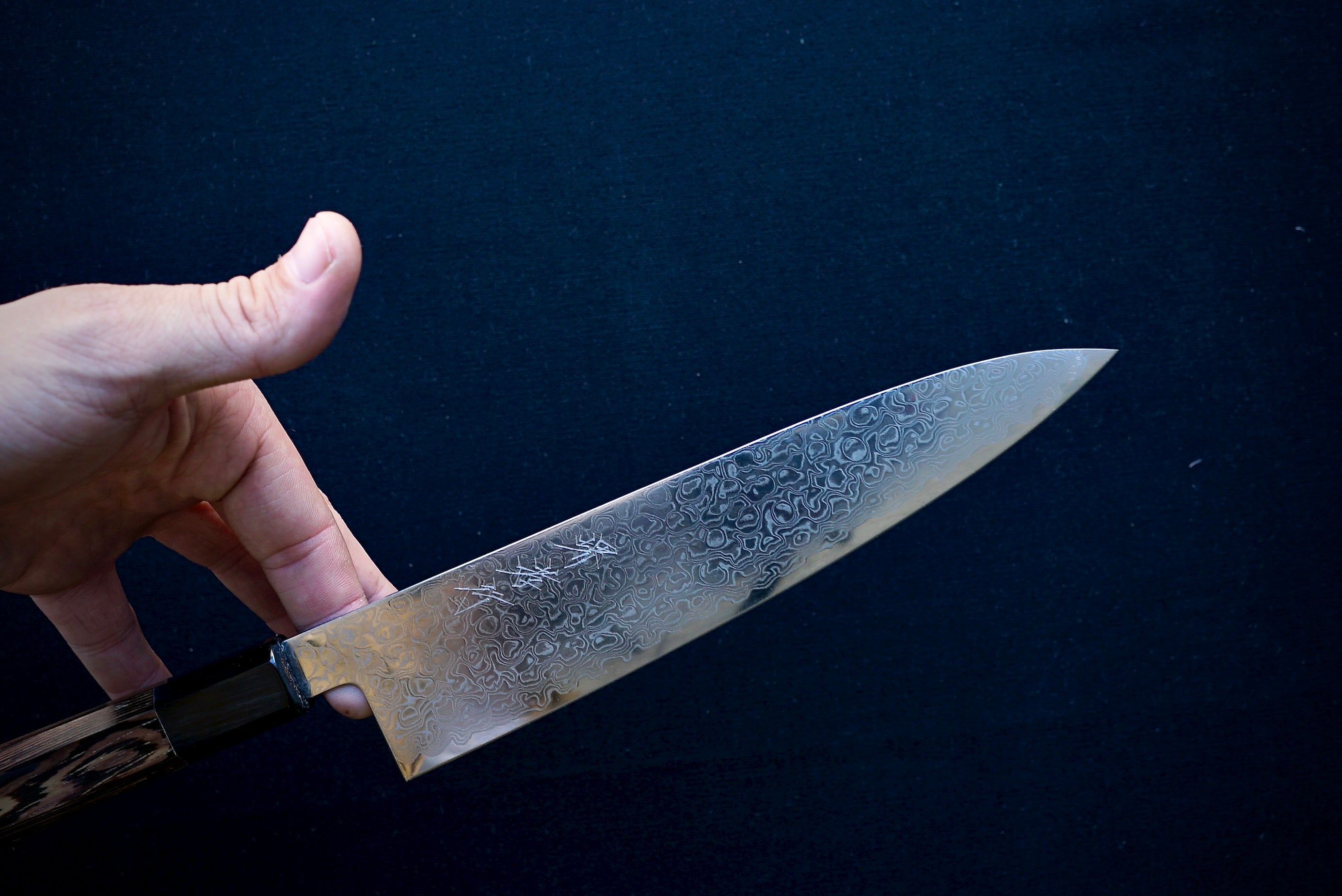 Sakai Takayuki Ginga Gyuto 210mm - Thecooksedges
