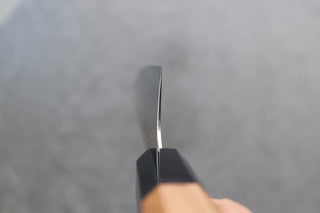 Hatsukokoro Saihyo Kiritsuke Gyuto 210mm - Thecooksedges