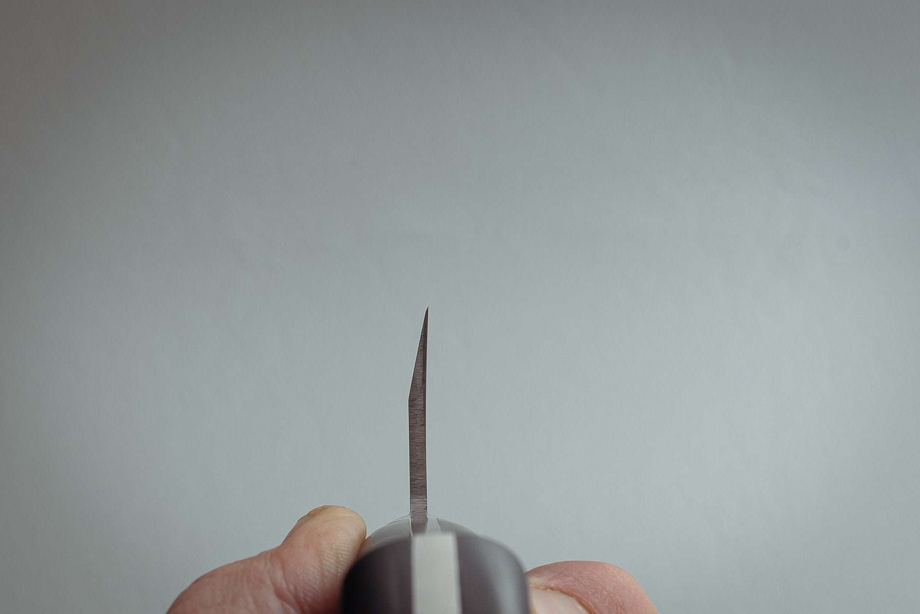 Sakai Takayuki INOX Deba 165mm - Thecooksedges