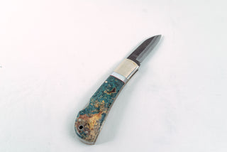 Takeda NAS Inagaki Back Lock Folder Buckeye - Thecooksedges