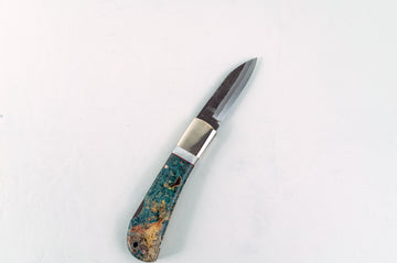 Takeda NAS Inagaki Back Lock Folder Buckeye - Thecooksedges