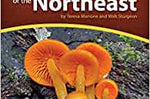 Mushrooms of the Northeast - Thecooksedges
